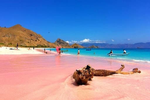 Bersantai di Pantai Pink Lombok